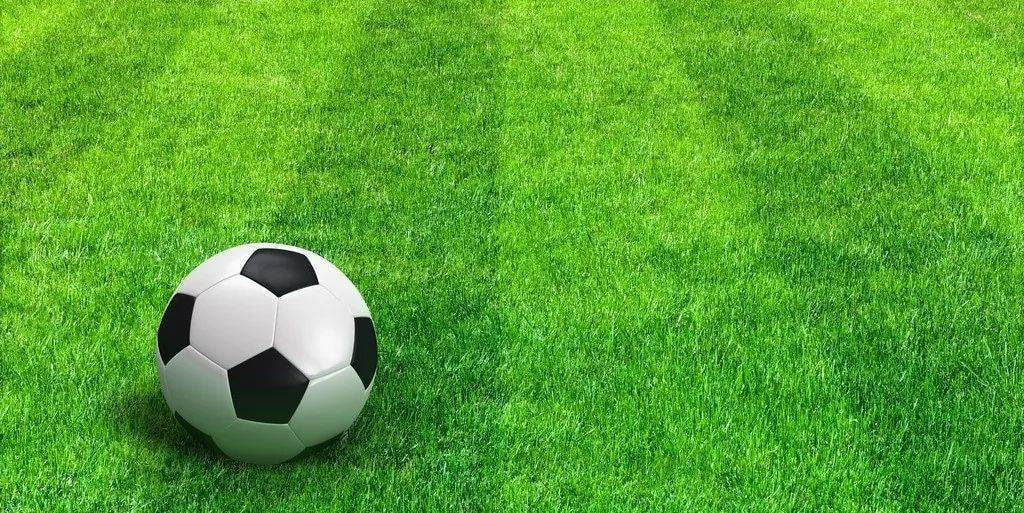 关注球探足球比分官方微信