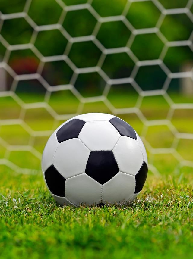 球探足球比分app下载v6.5界面展示